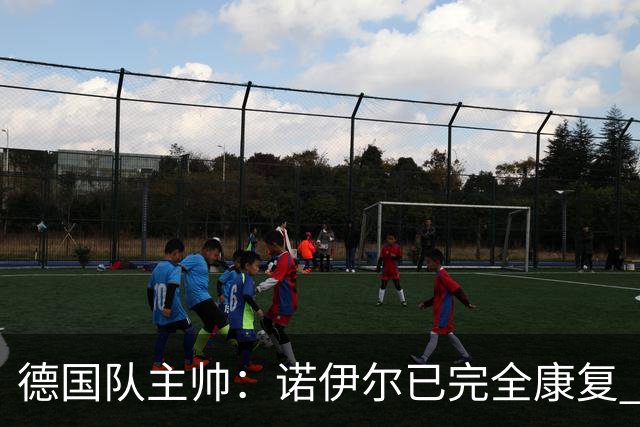 德国队主帅：诺伊尔已完全康复 他的身体状态可以首发